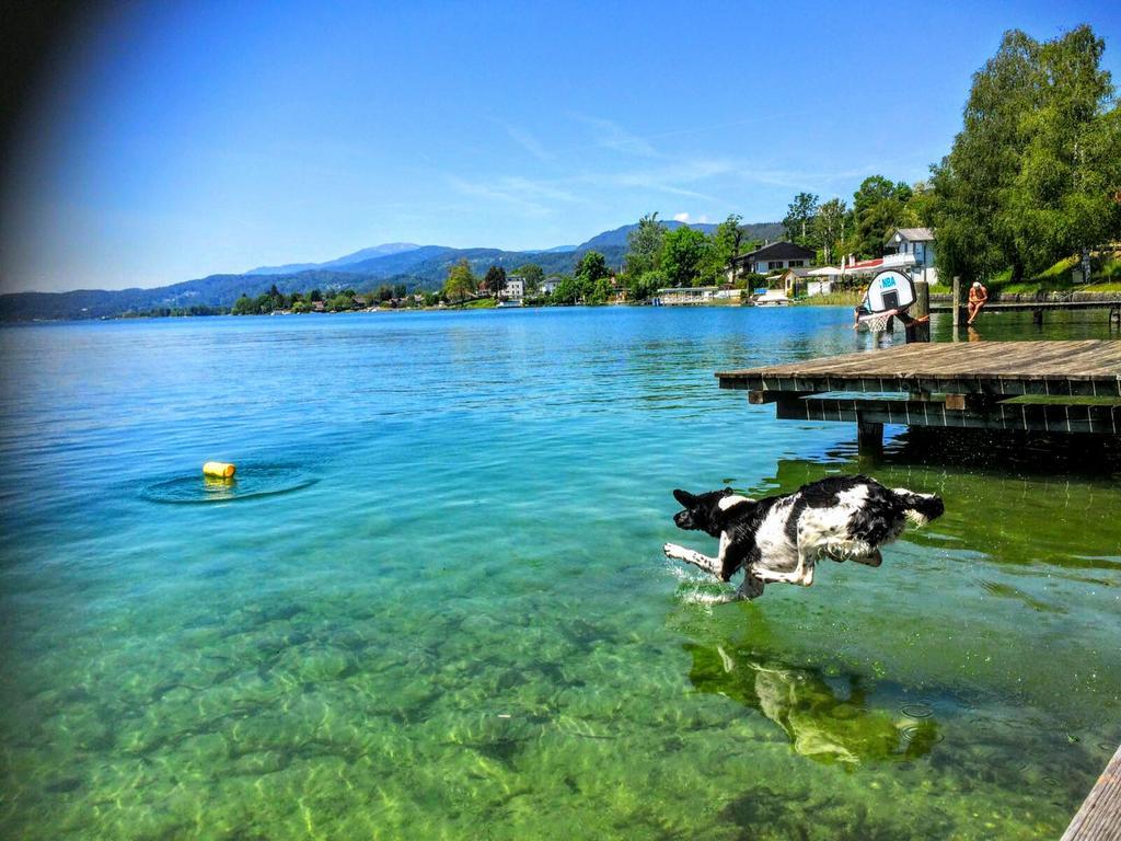 Appartements Allmaier Portschach am Woerthersee Luaran gambar